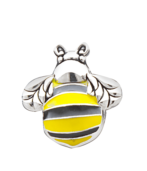 Bee Related Charms & Inspirational Rocks